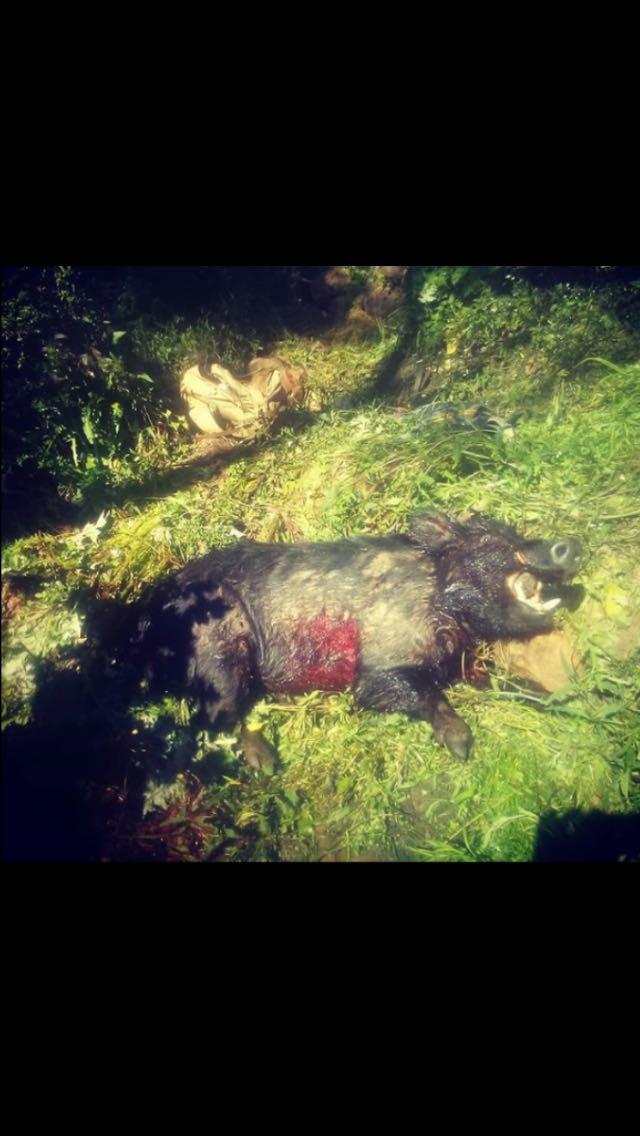 Jordan Lloyd profile picture