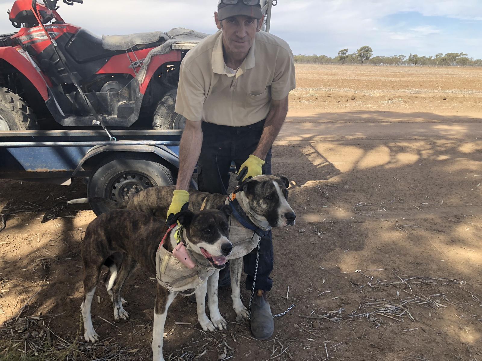 The husband and his bitch Cany in front and my boy Zeus Candies son
