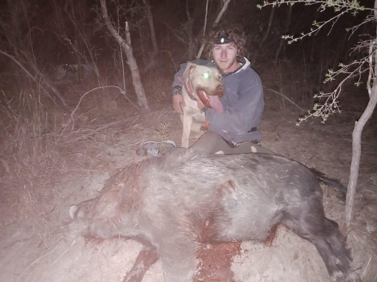 Good drought boar