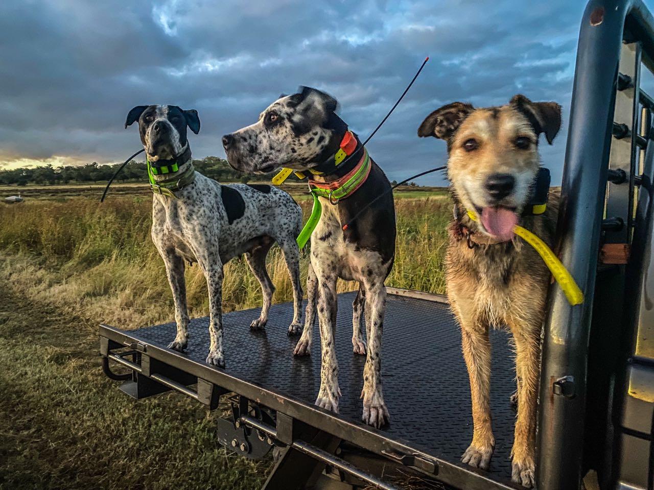 Sarah Rielly profile picture