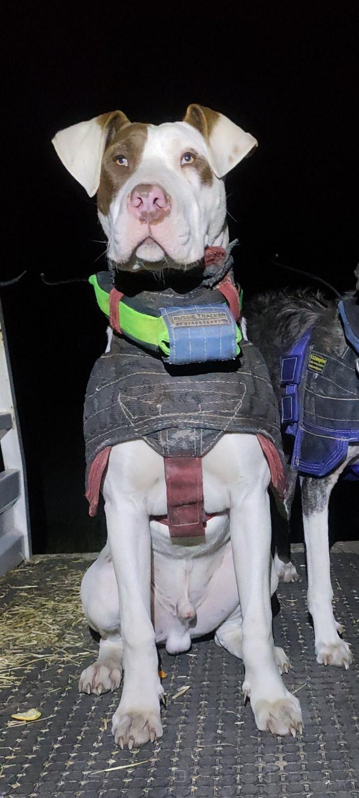 Mitch Condely profile picture