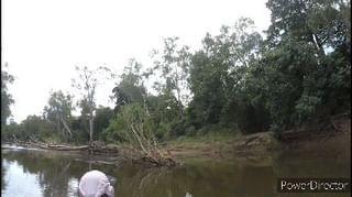 Nathan Prior on Instagram: &quot;308 might be a bit over kill   #pig 