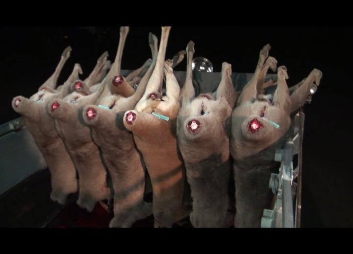 The Game Meat Industry How It Began & Where It Is Now