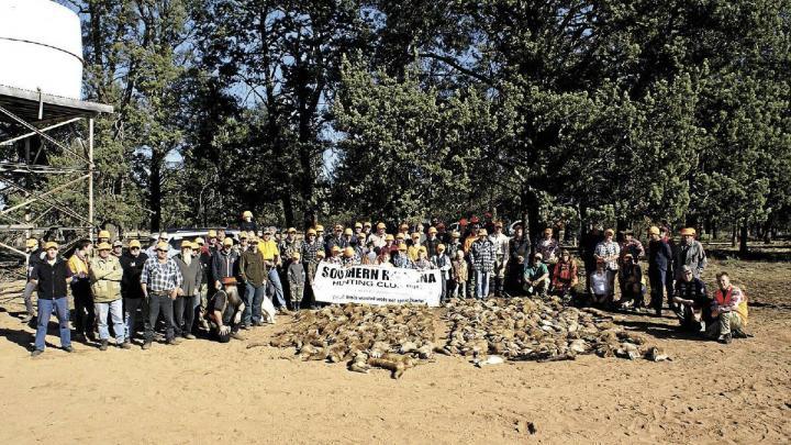 Fox fury as hunters under fire