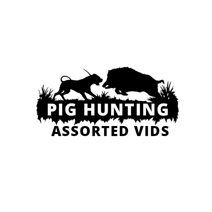 Pig Hunting Assorted