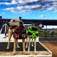 Connor Hill profile picture