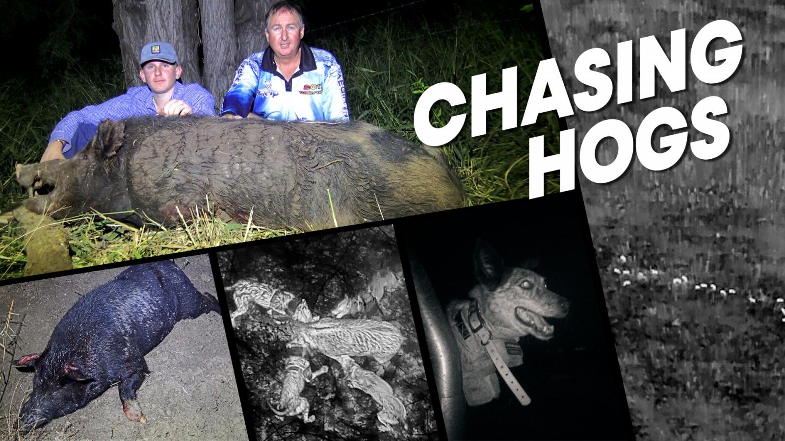 CQ Crackers - Chasing Hogs with Nigel Cusack