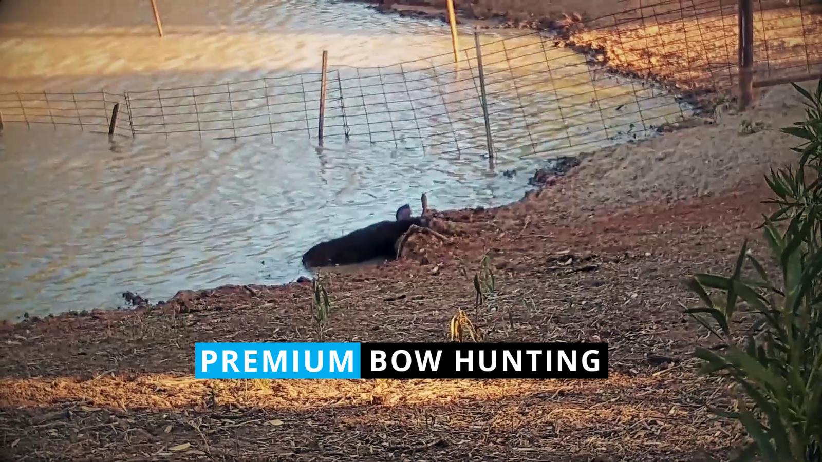 Scott Meadows -  Bow Hunting #2