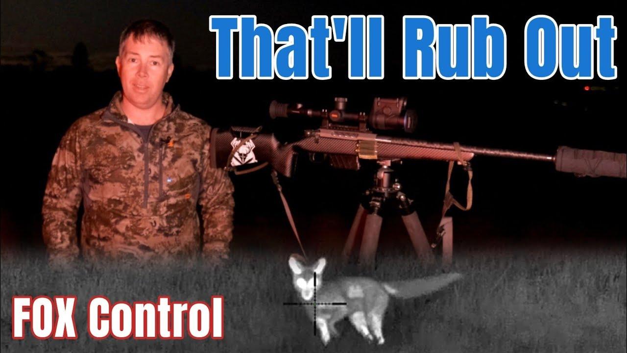 Fox Control Pest Shooting || Pulsar Thermion 2 & Merger LRF XP5