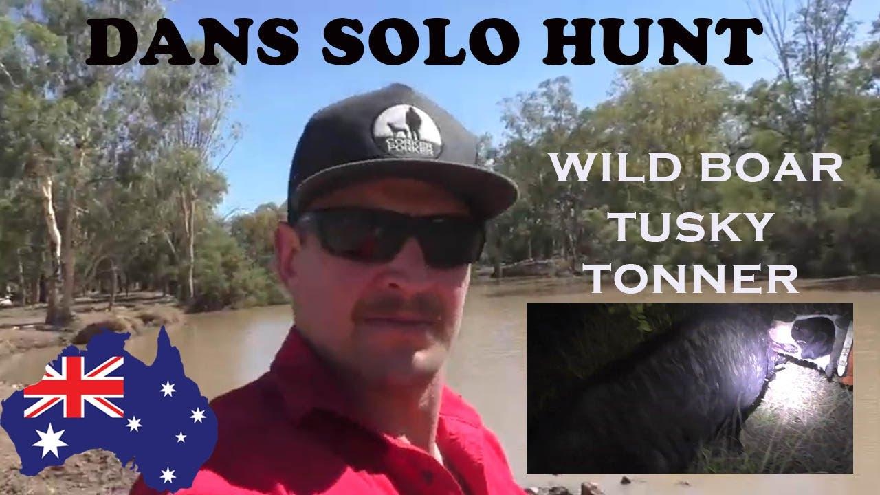 Pig Hunting Australia Dans Solo Hunting Big Wild Boar getting
