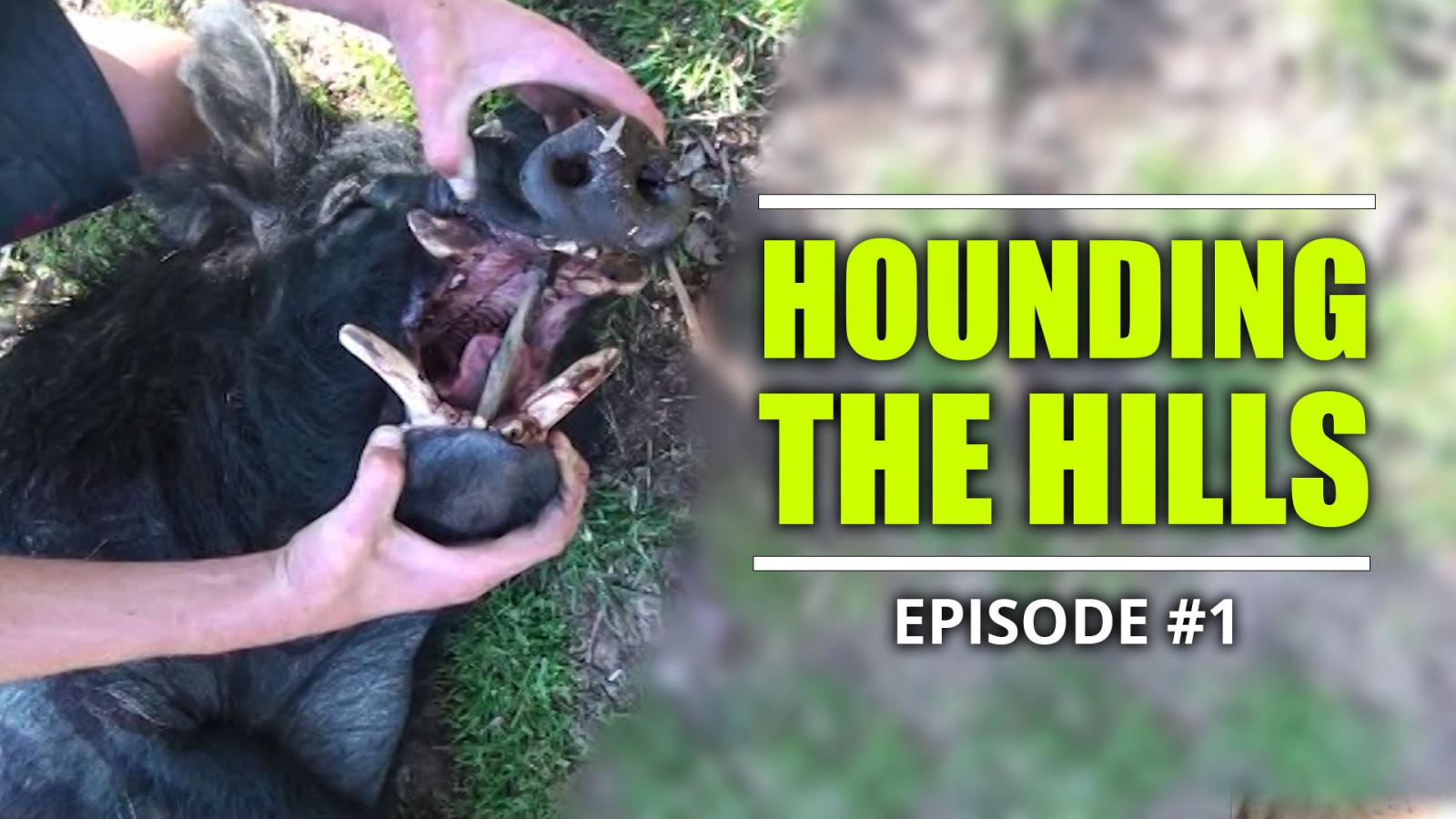 Hounding The Hills E1