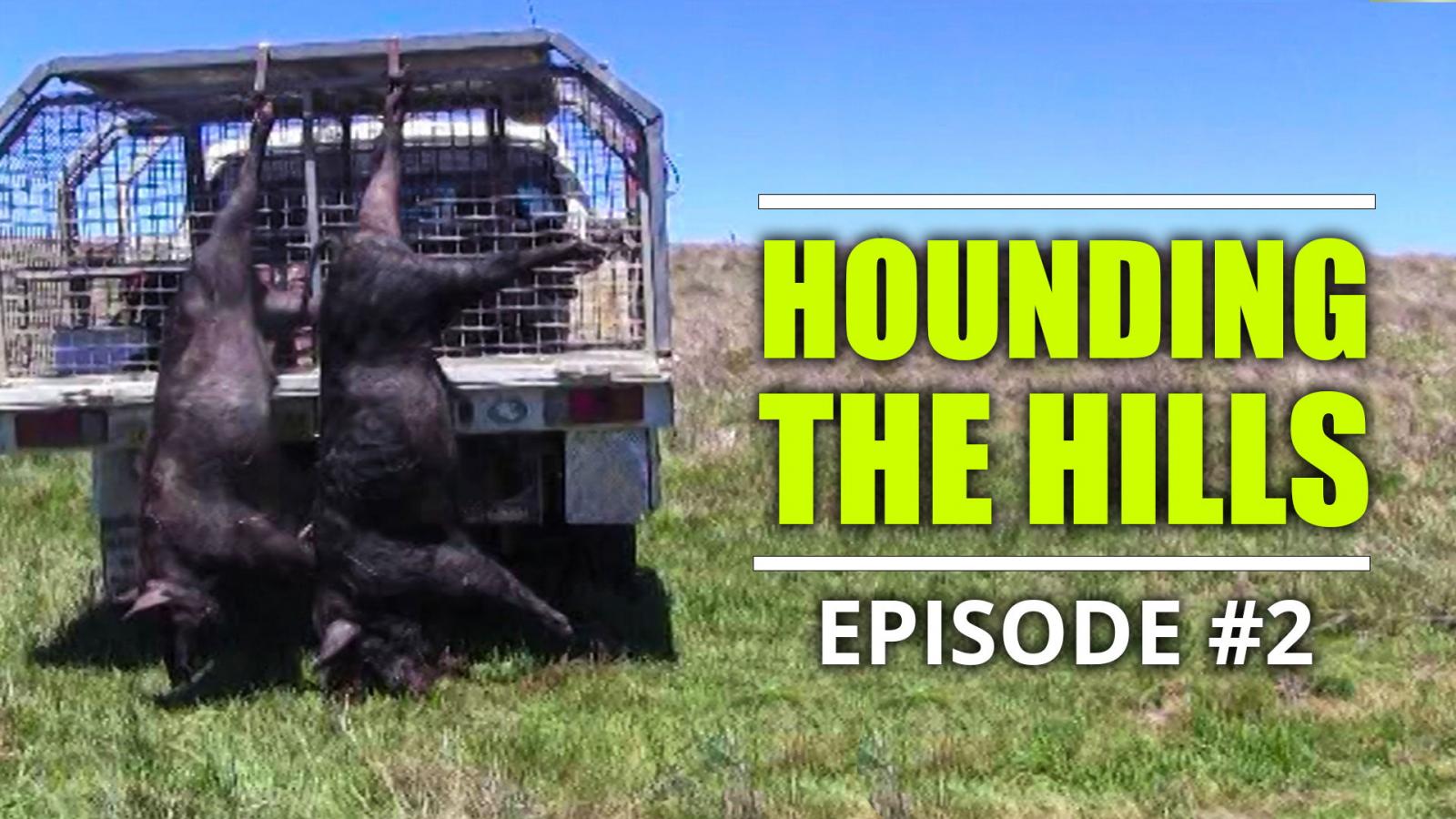 The Boar Hunting Channel