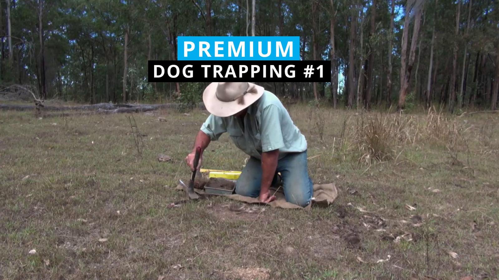 Dog Trapping #1 - Clark Mcghie