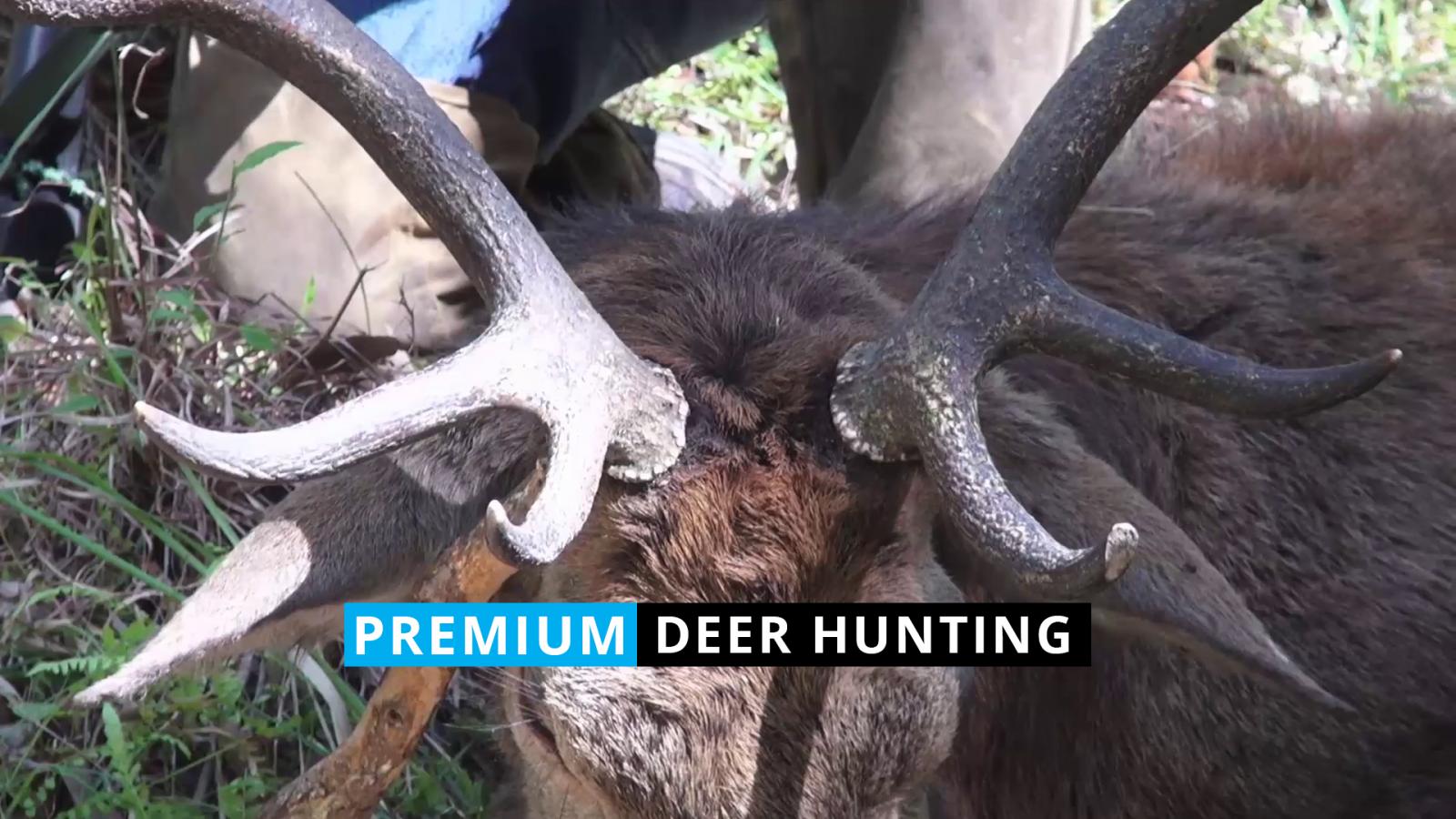 Deer Hunting with Clark Mcghie #1